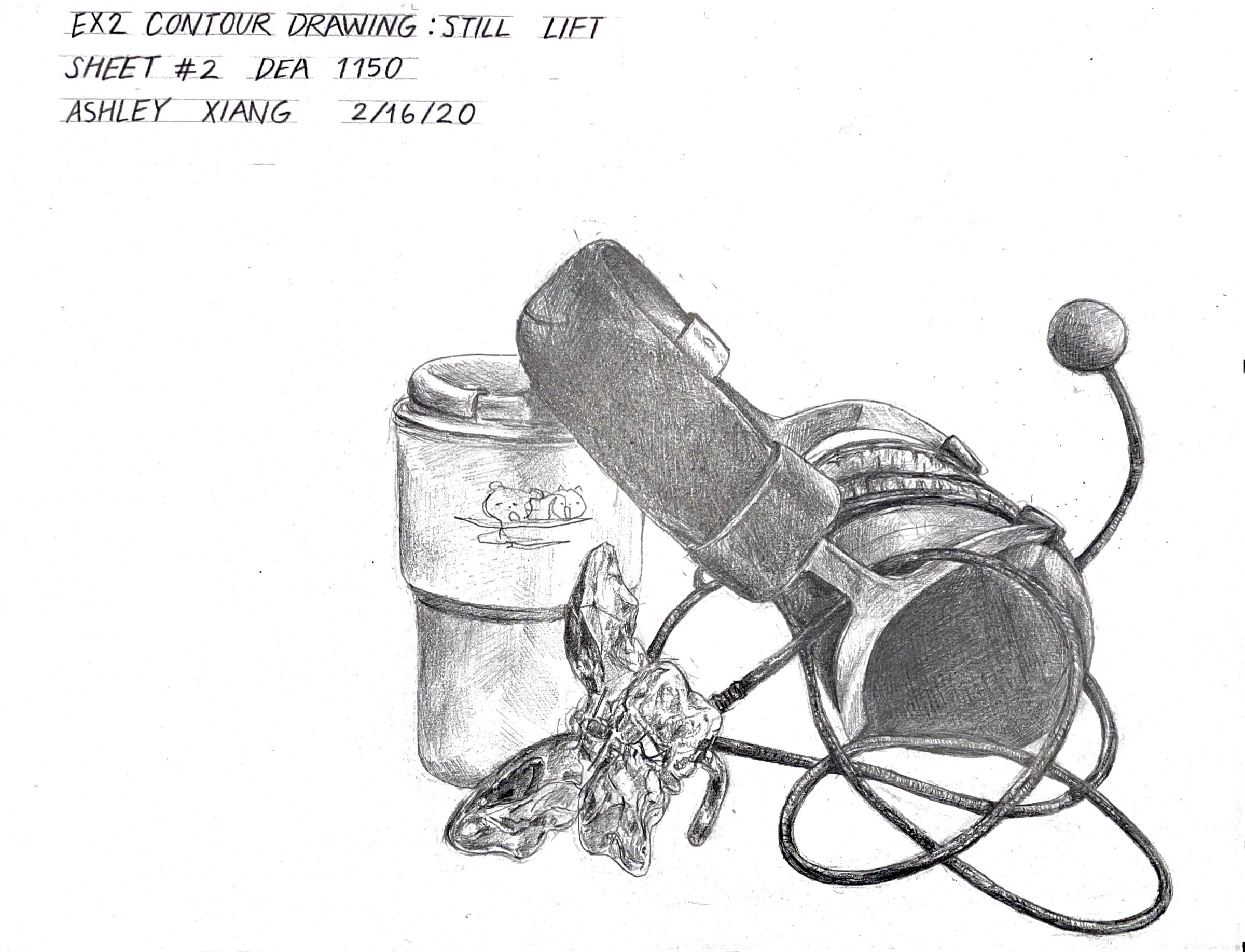Contour Drawing