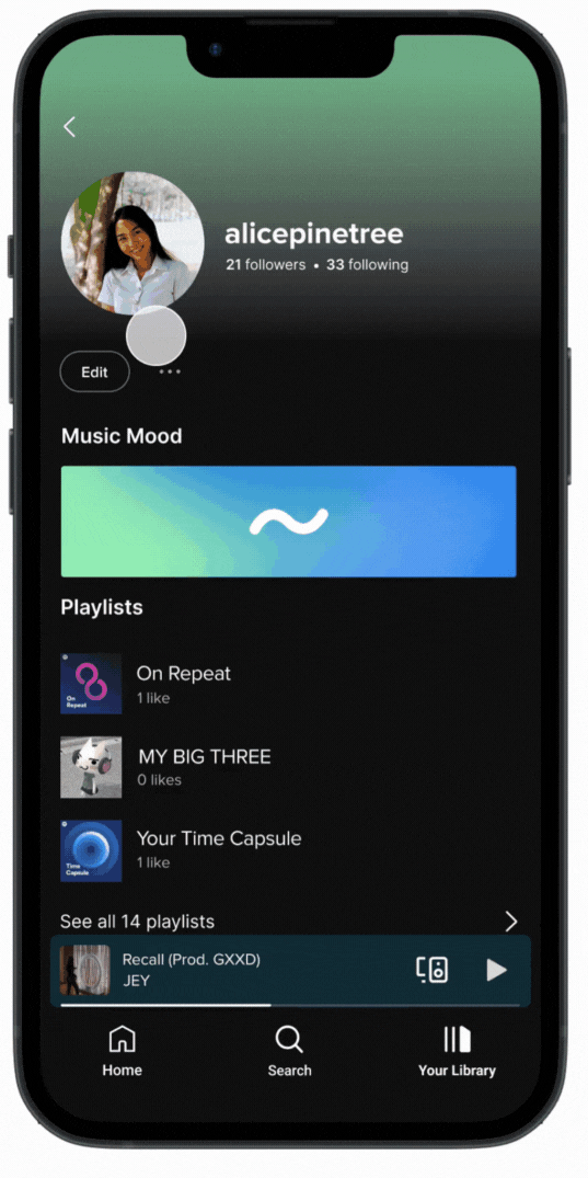 Music Mood asset