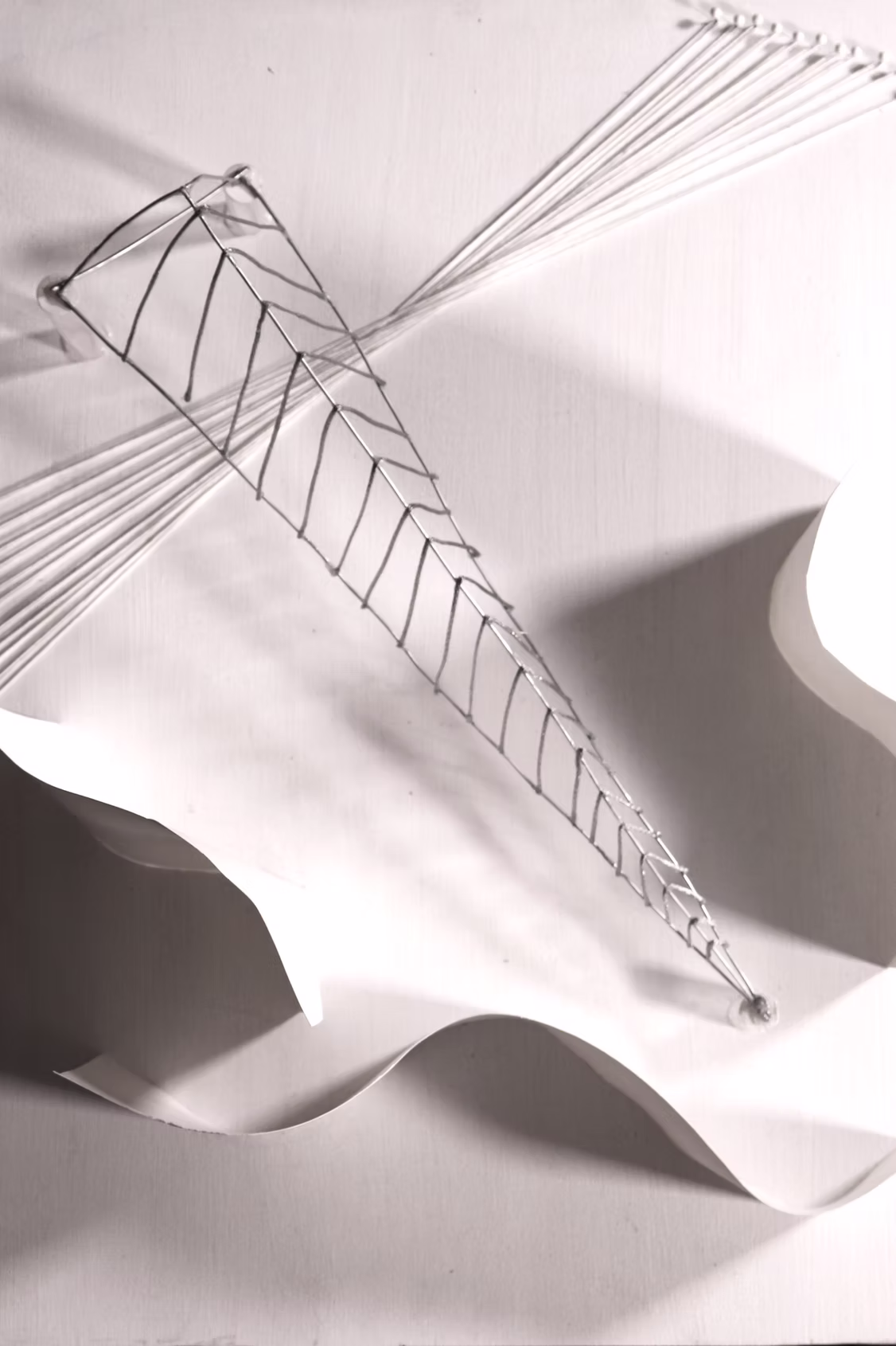 Leaf asset